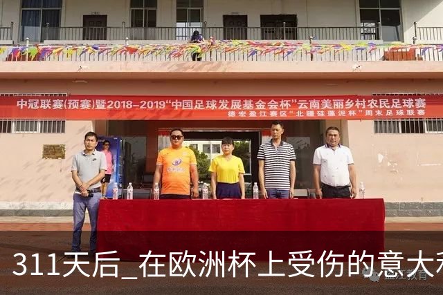 311天后 在欧洲杯上受伤的意大利国脚终于复出了